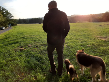 Mobile Hundeschule für Bonn, Köln und den Rhein-Sieg-Kreis